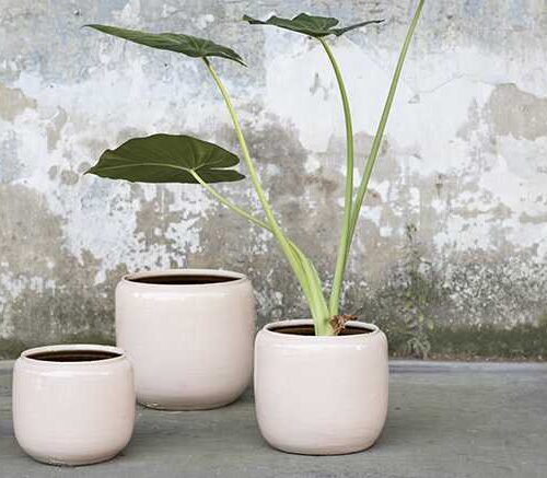 Alternative view of Flower Pot Pink Costa Serax
