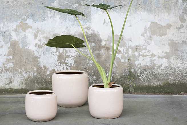 Flower Pot Pink Costa Serax - Afbeelding 2